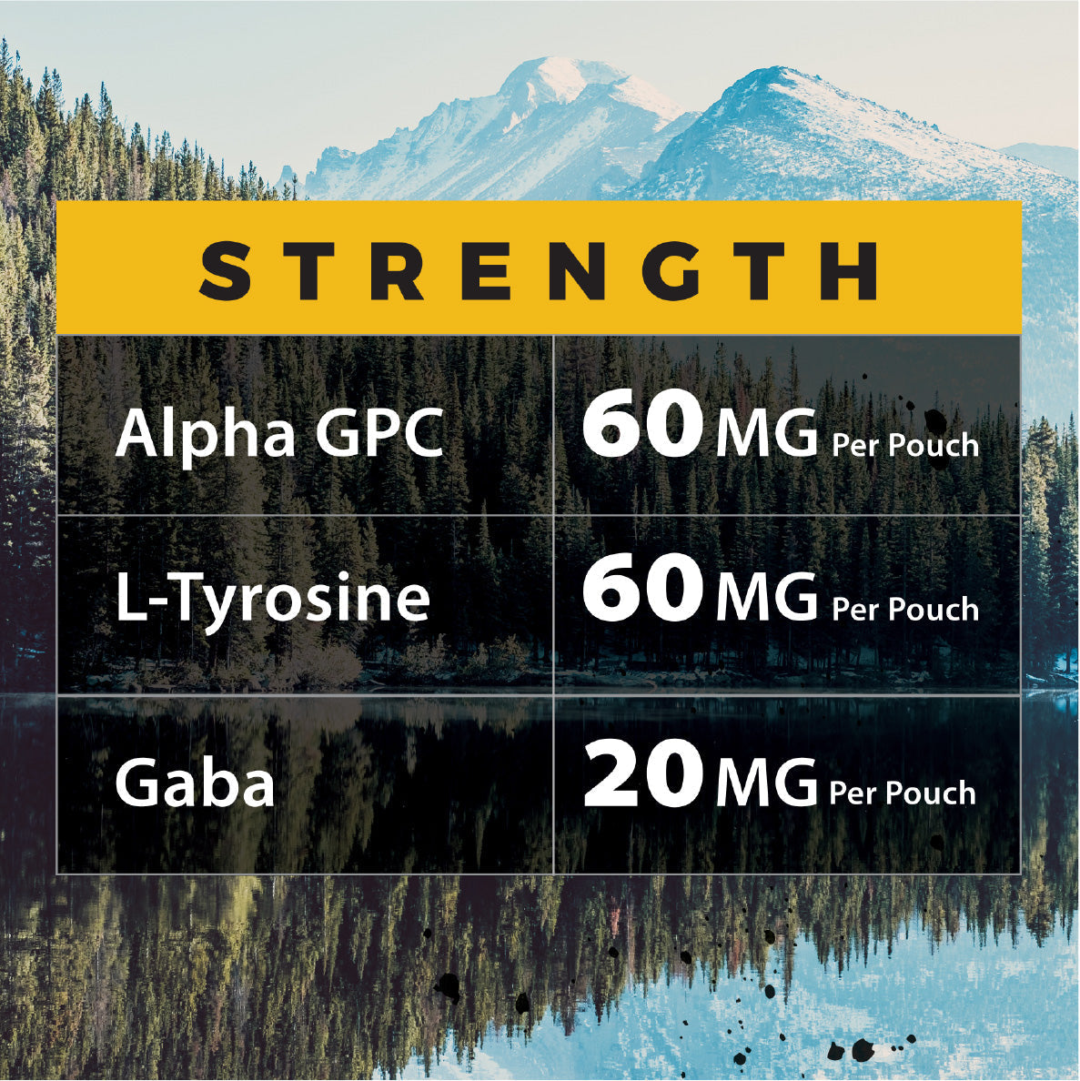 ALPHA Fuel - Mango Nootropic Energy Pouches